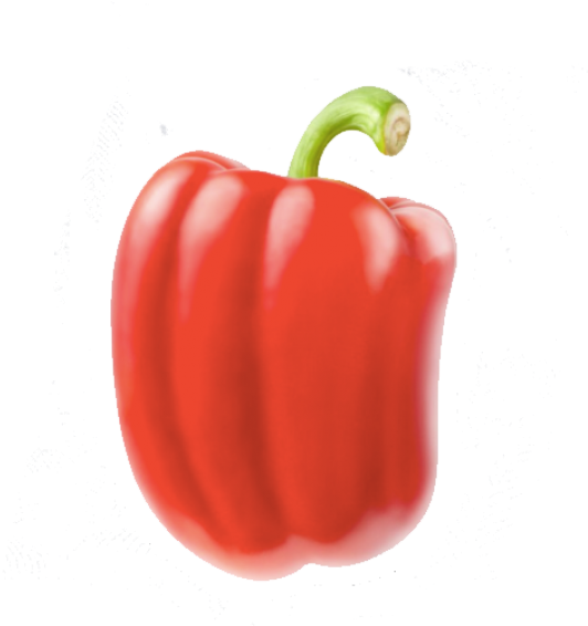 A Red Bell Pepper With A Green Stem