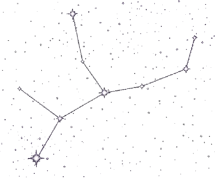A Constellation Of The Stars