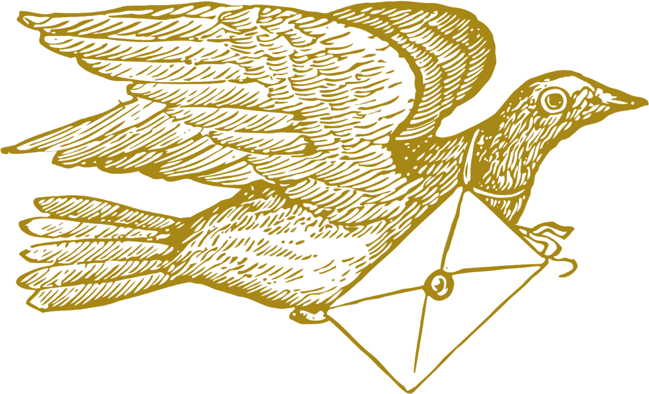 A Bird Flying With A Letter