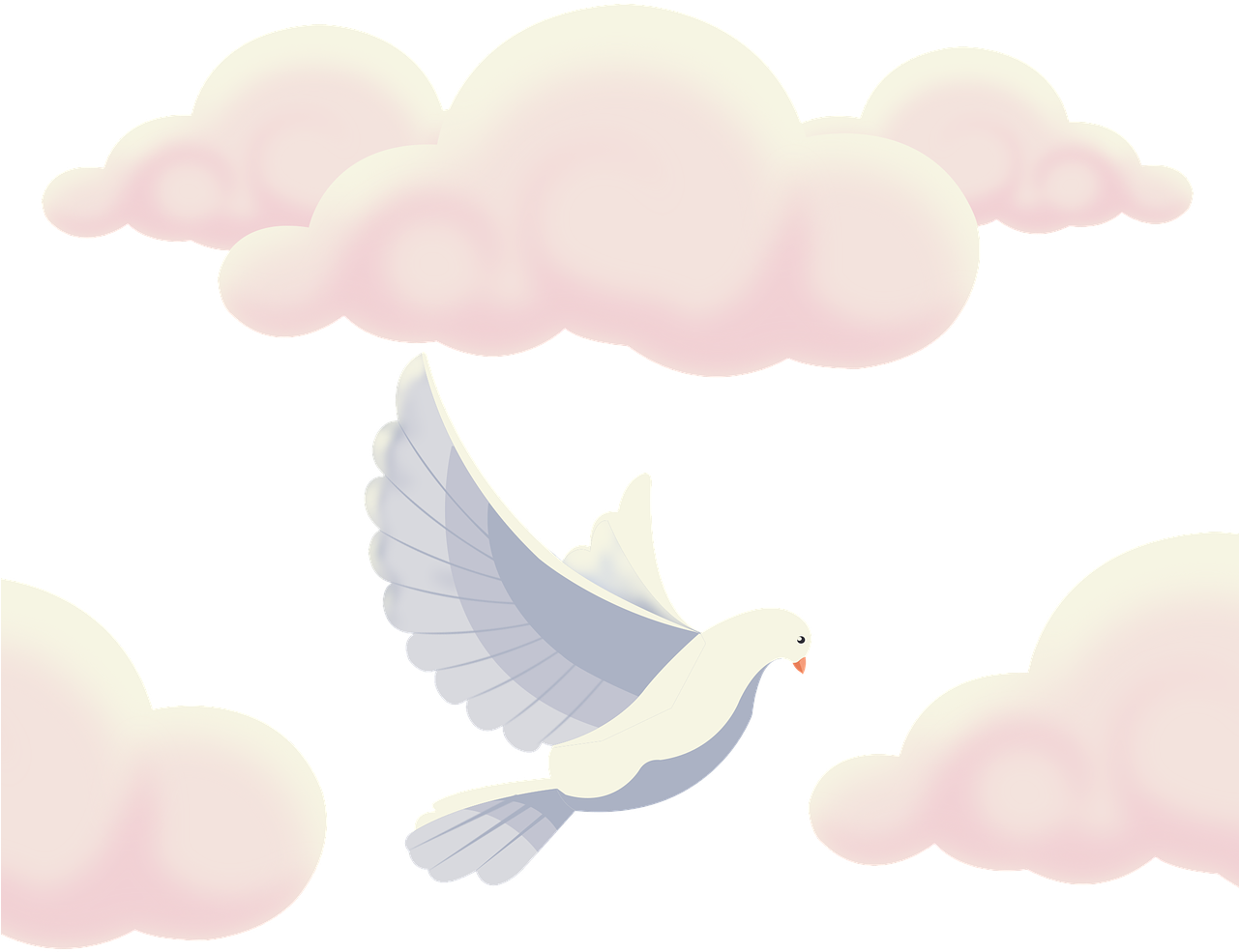 A White Bird Flying In The Sky With Clouds