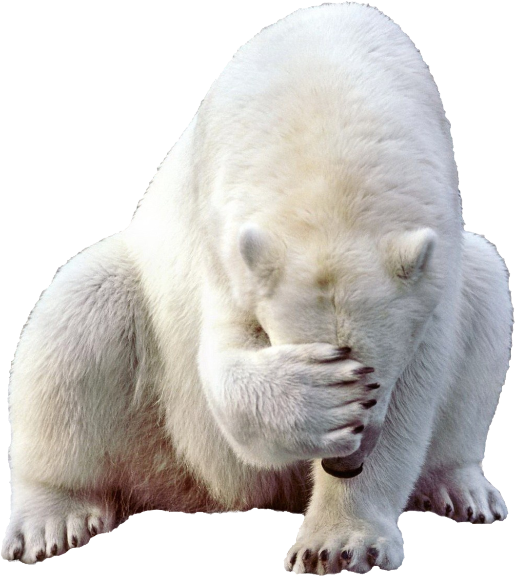A Polar Bear With Its Hands Over Its Face