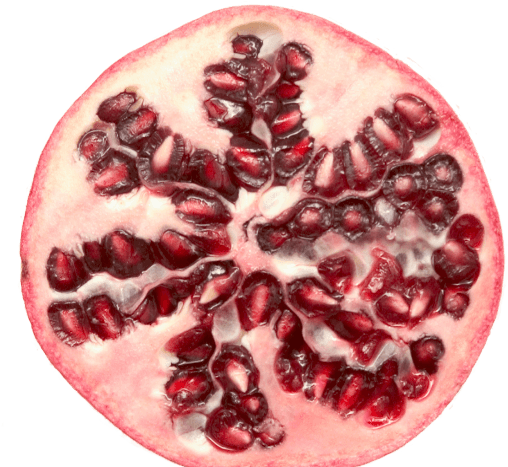 A Pomegranate Cut In Half