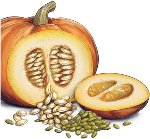A Pumpkin With Seeds And Seeds In The Center