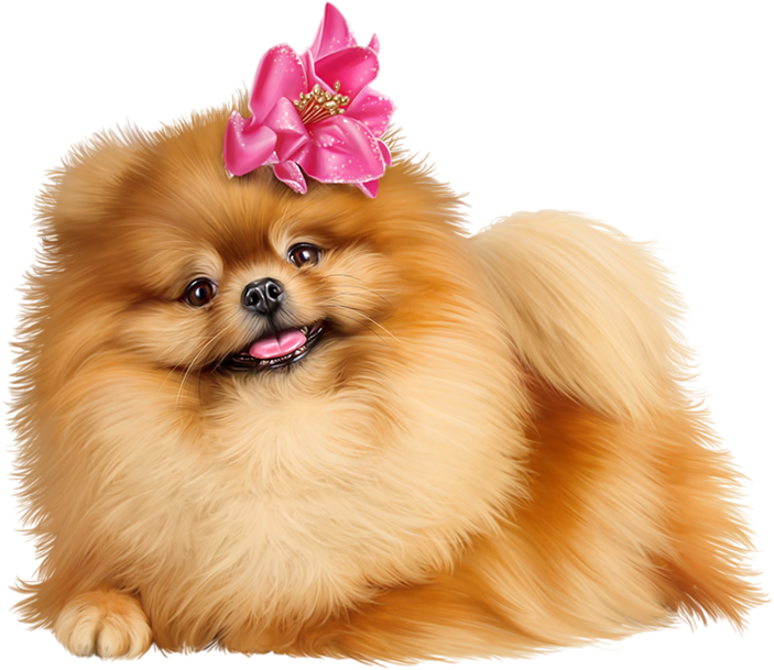A Dog With A Pink Bow On Its Head