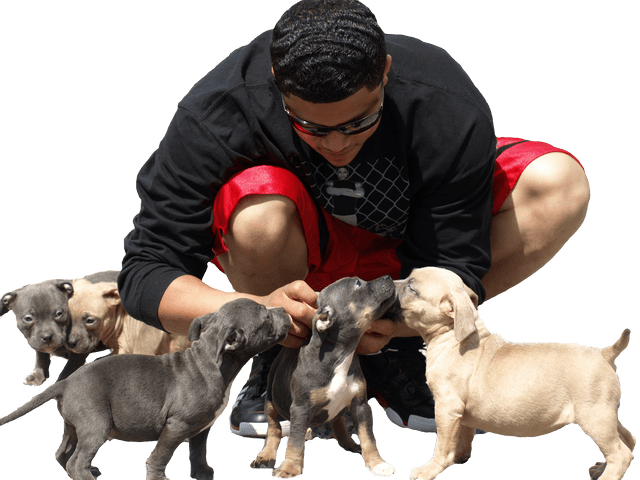 A Man Kneeling With Several Puppies