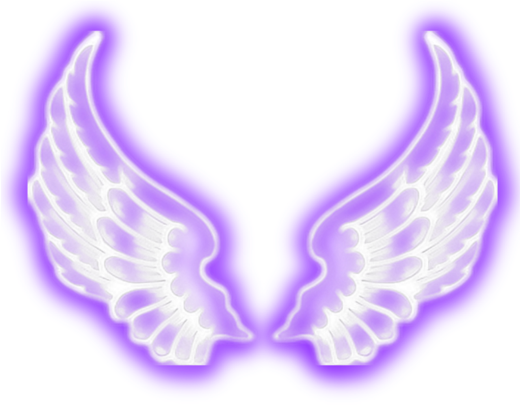 A Pair Of White Wings With Purple Lights