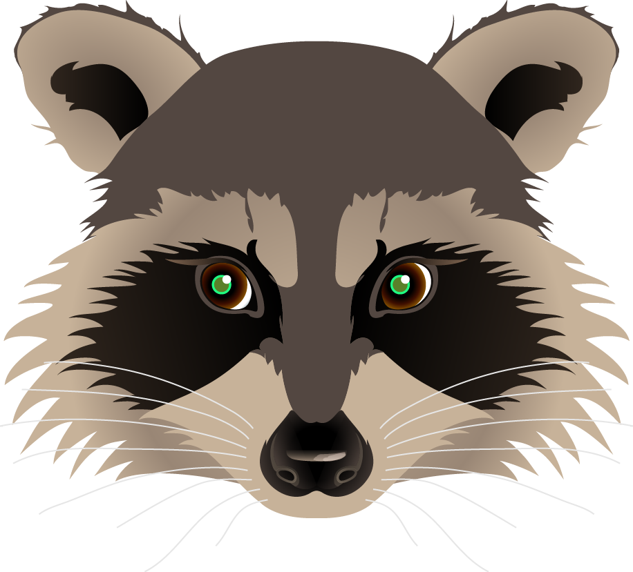A Raccoon With Green Eyes