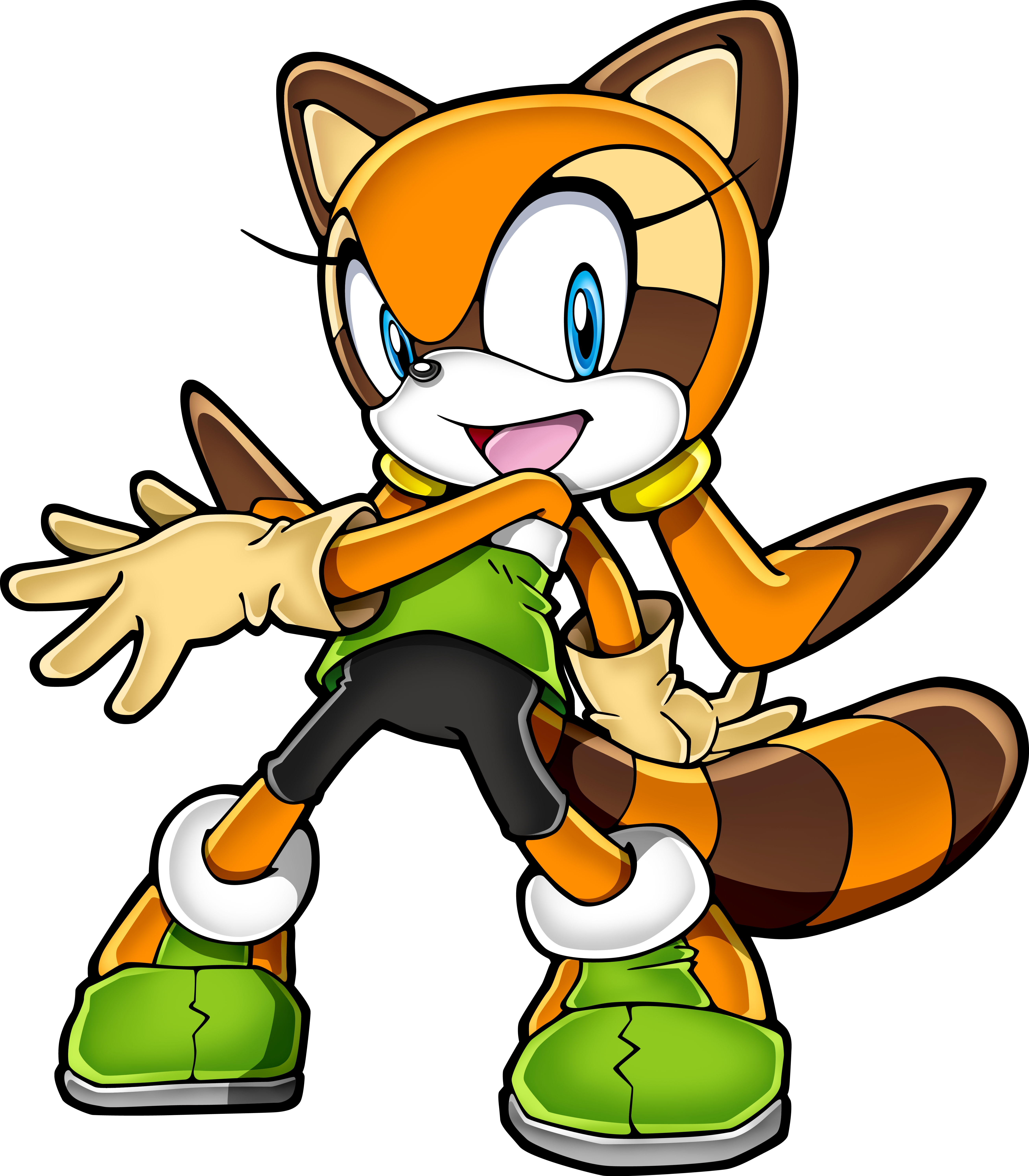 Cartoon Character Of A Raccoon