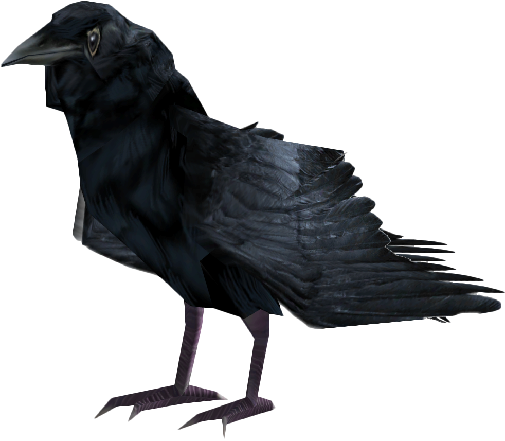 A Black Bird With A Black Background