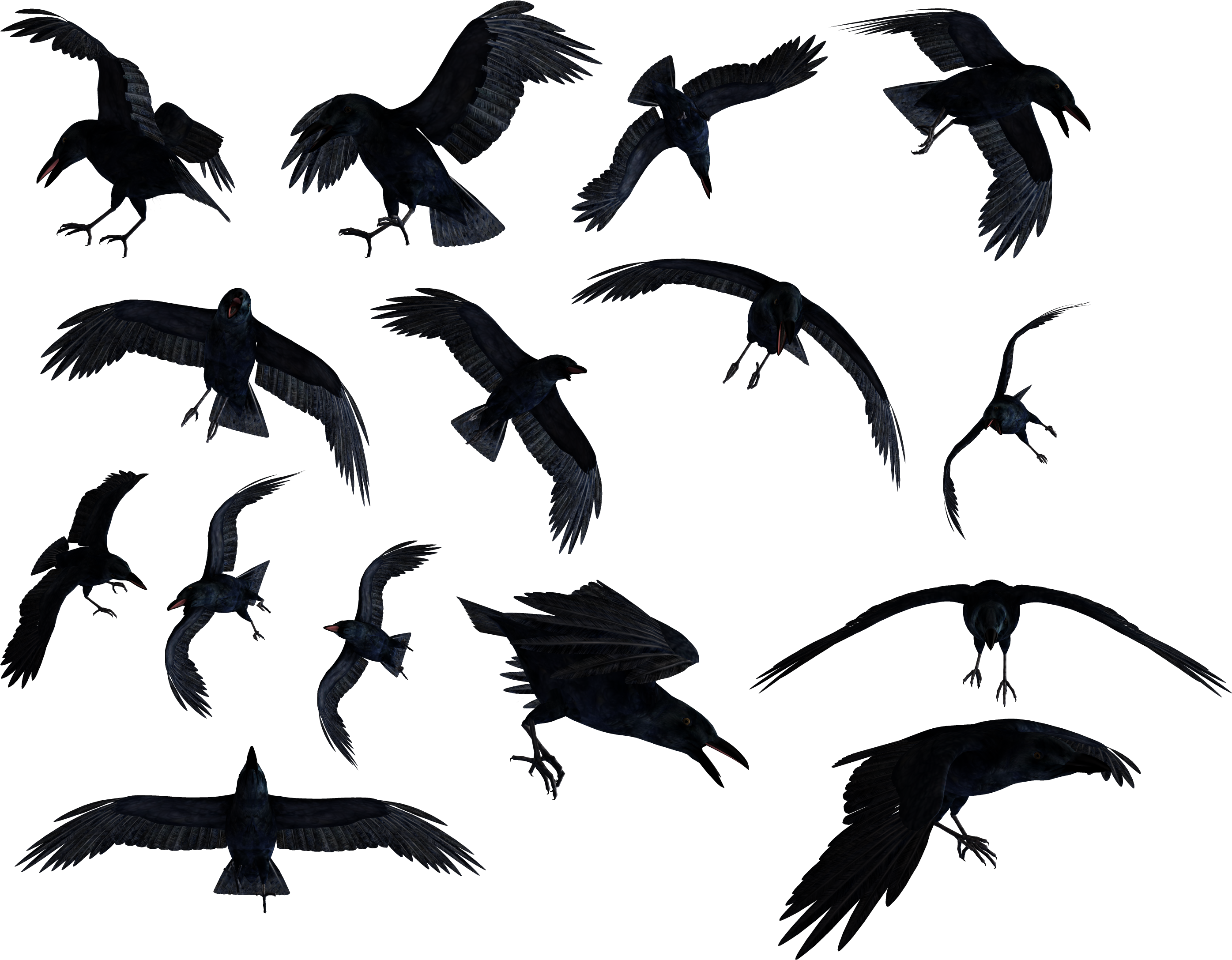 A Group Of Birds Flying