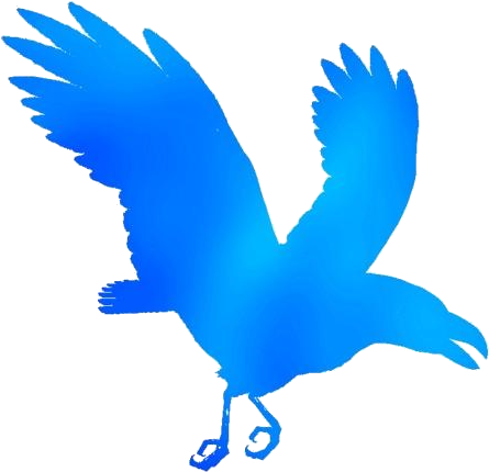 A Blue Bird With Wings Spread