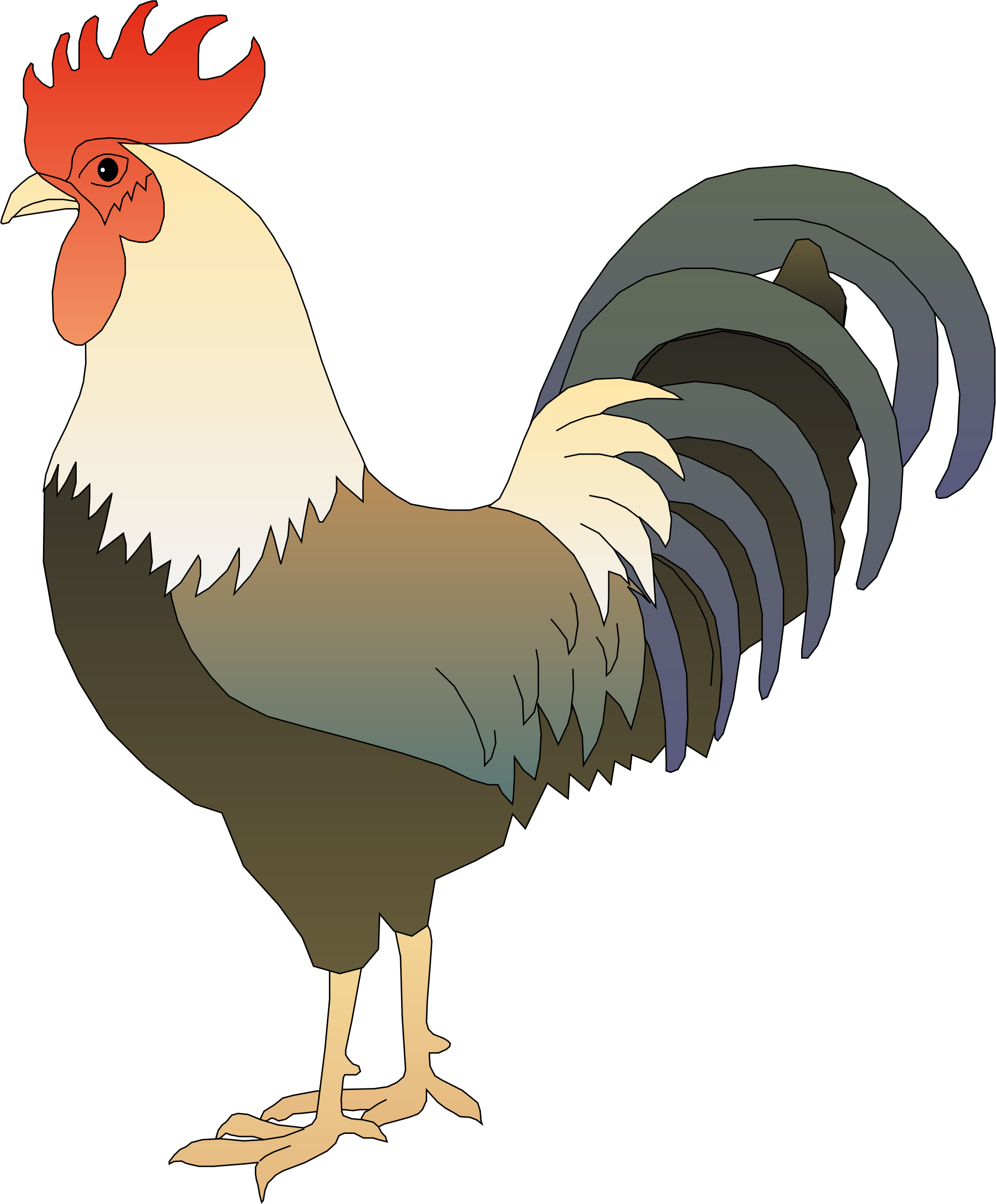 A Rooster With A Red Head