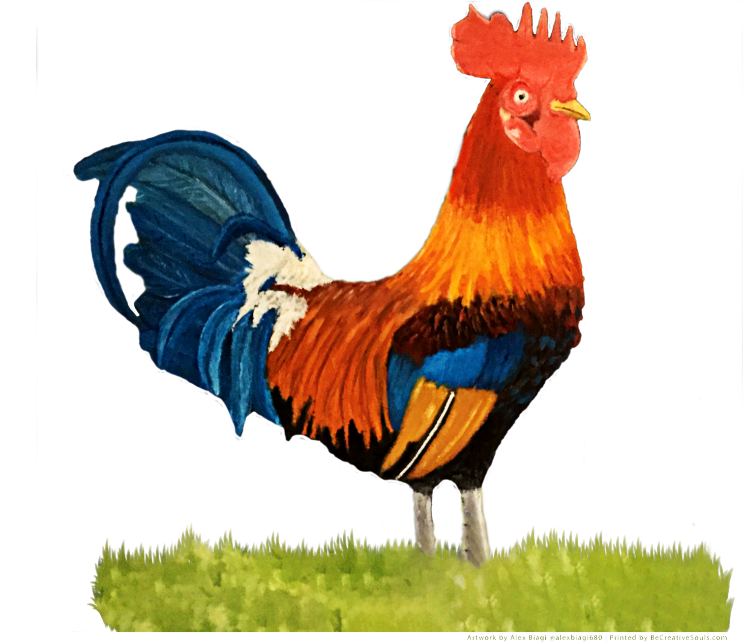 A Rooster Standing On Grass