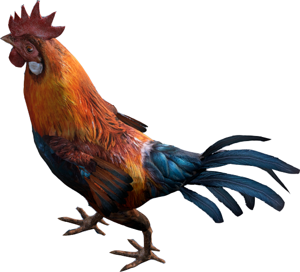 A Rooster With A Red Crown