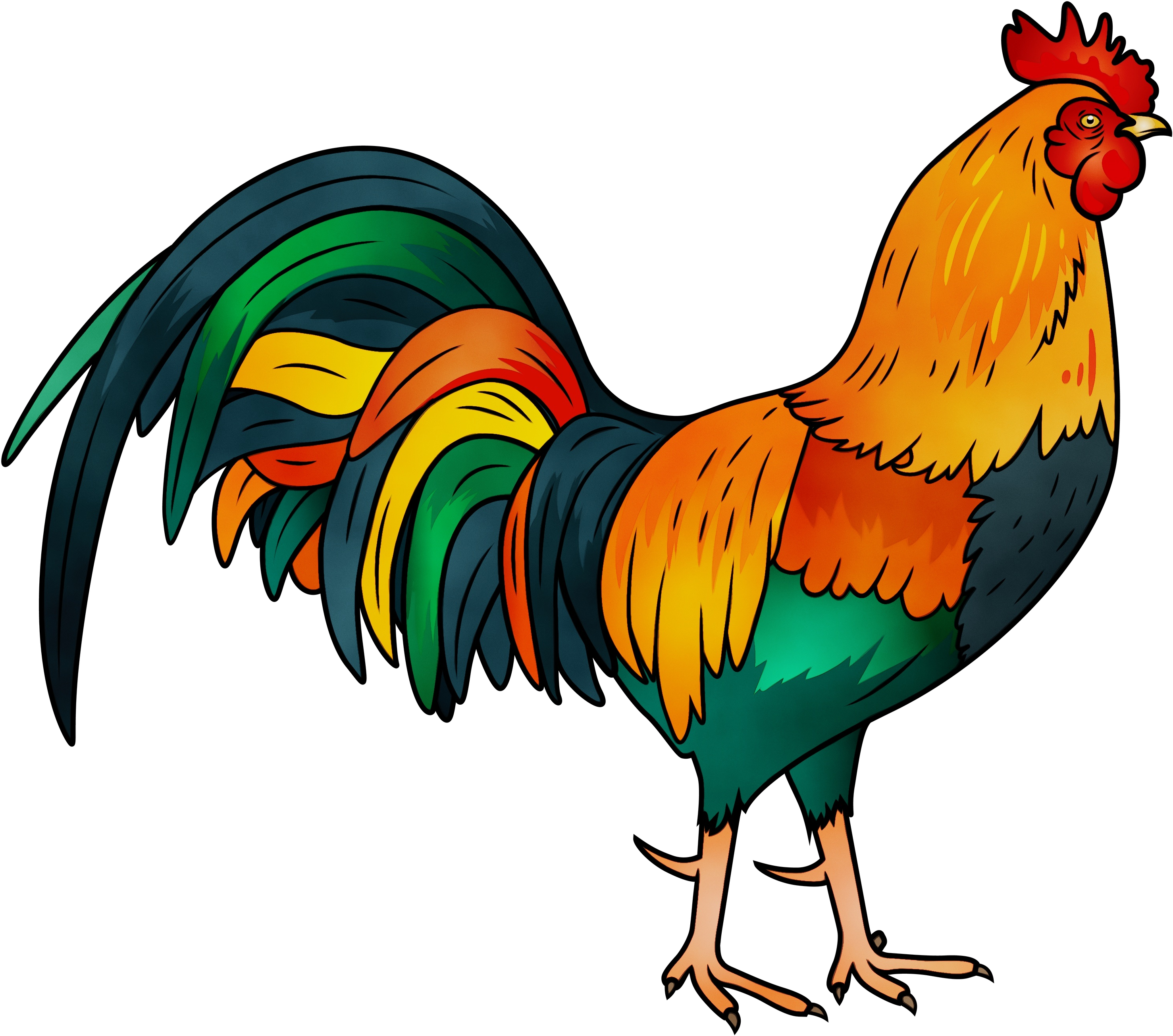 A Colorful Rooster With Black Background