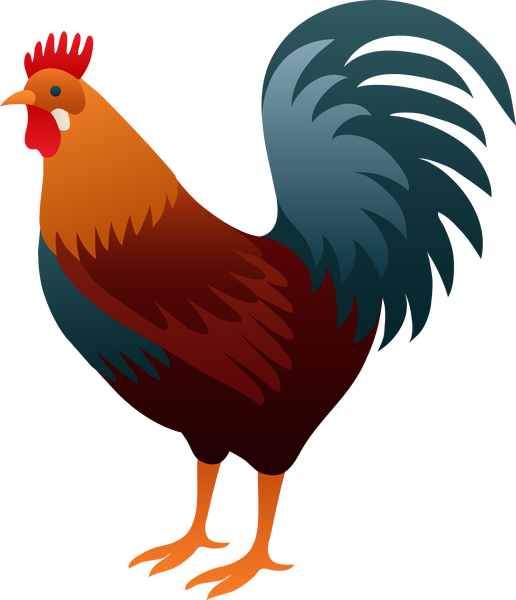 A Rooster With A Black Background