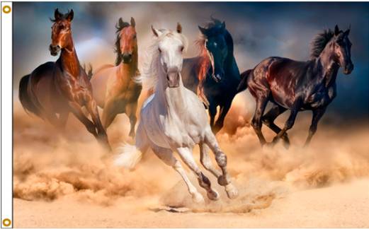 A Group Of Horses Running In Dust