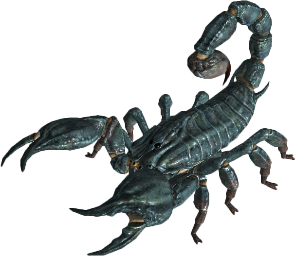 A Scorpion With A Black Background