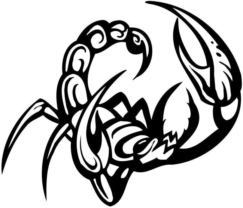 A Black And White Image Of A Scorpion
