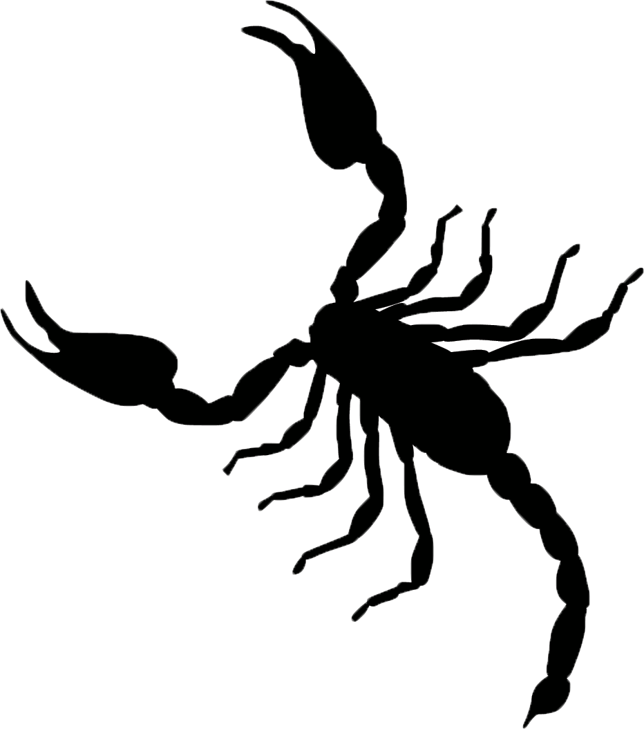A Black And White Image Of A Scorpion