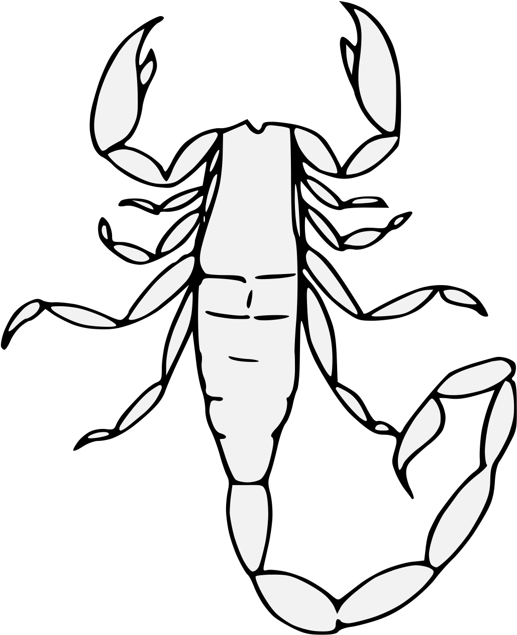 A White Scorpion With Black Background