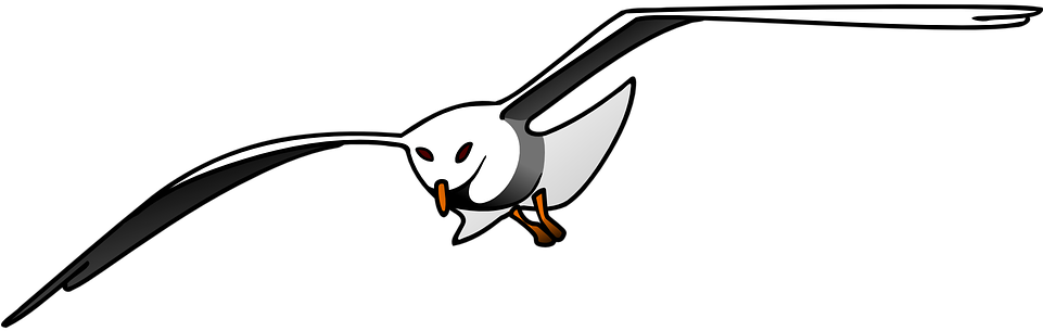 A White Bird With Orange Eyes And A Black Background