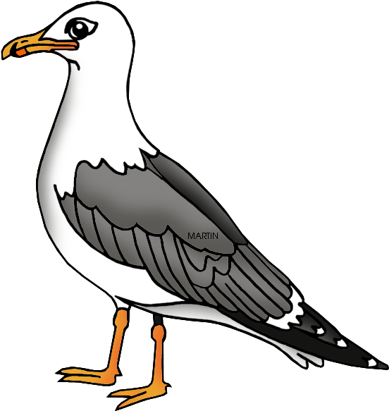 A Bird With A Black Background