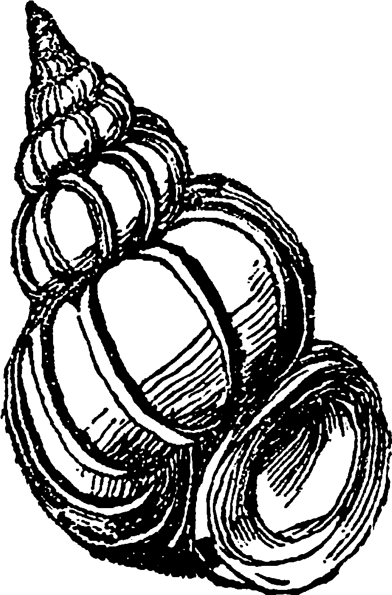 A Black Background With White Dots