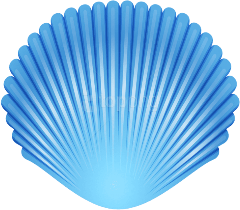 A Blue Shell With White Stripes