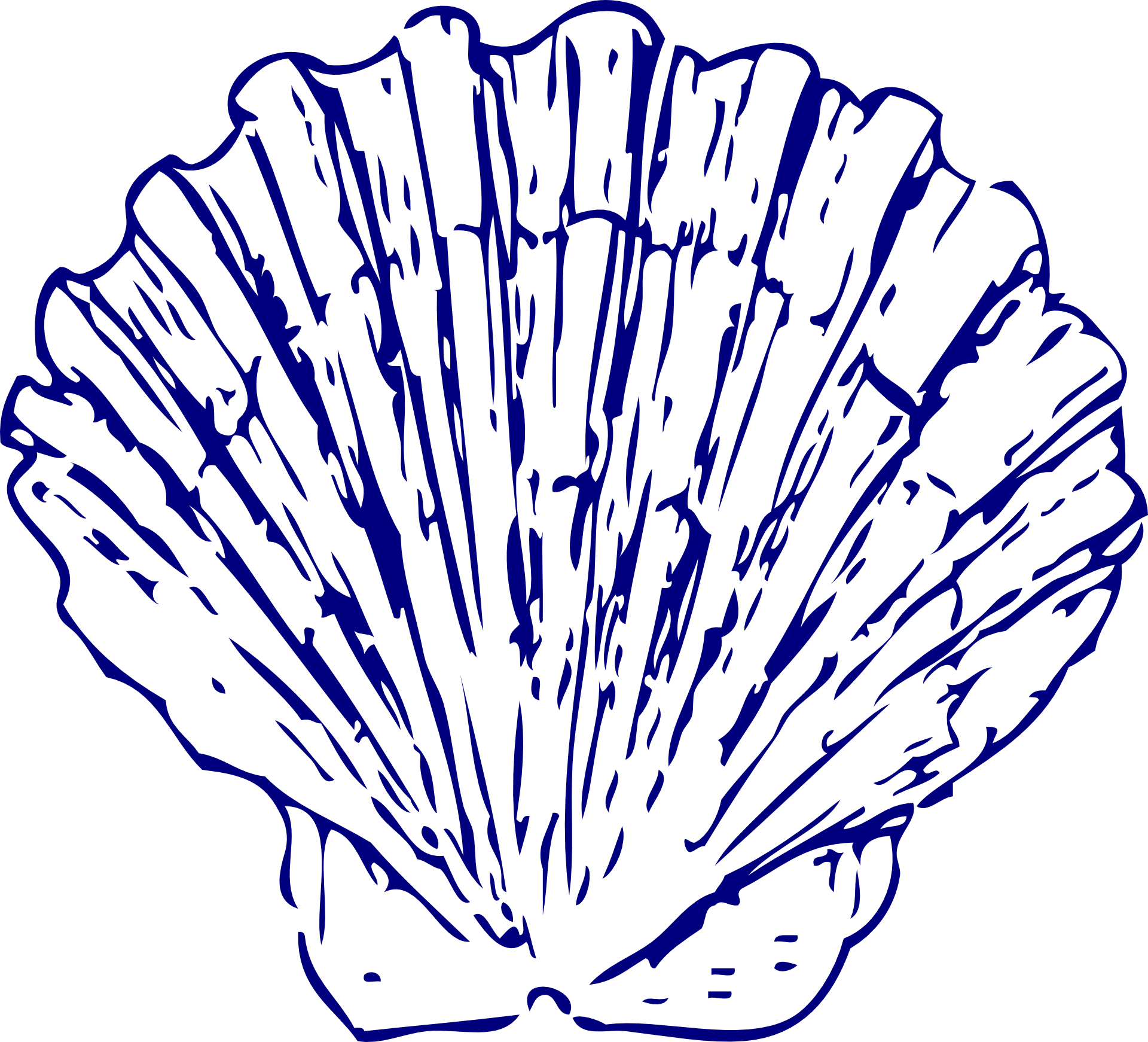 A Blue Outline Of A Shell