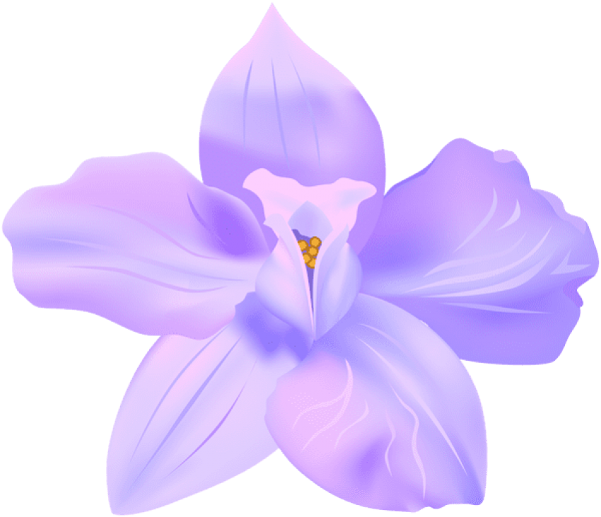 A Purple Flower With Petals