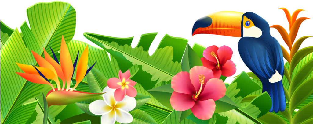 A Colorful Flowers And A Bird