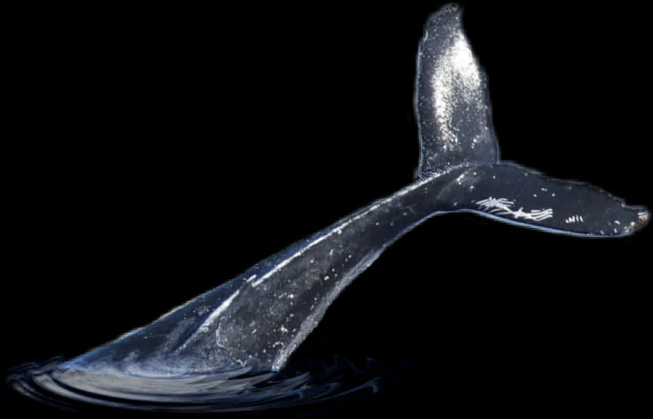 A Whale Tail In Water
