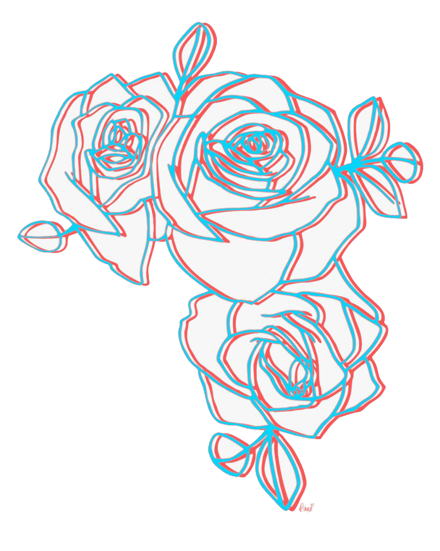 A White Roses With Red Outline