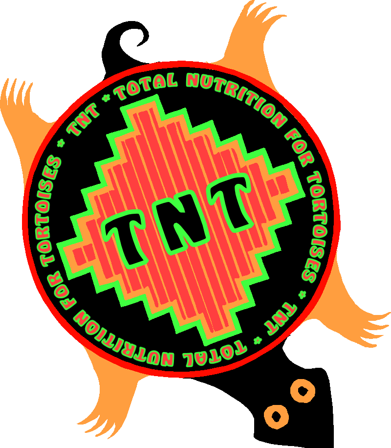 A Logo Of A Tortoise