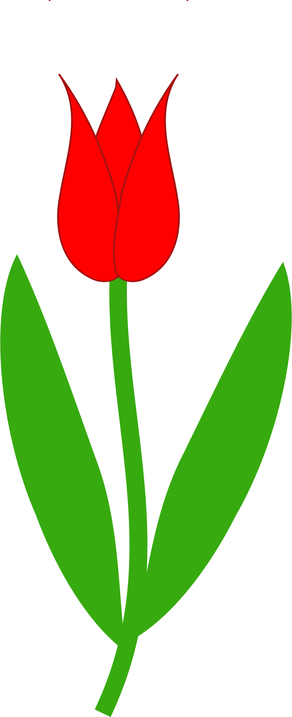 A Red Tulip With Green Leaves