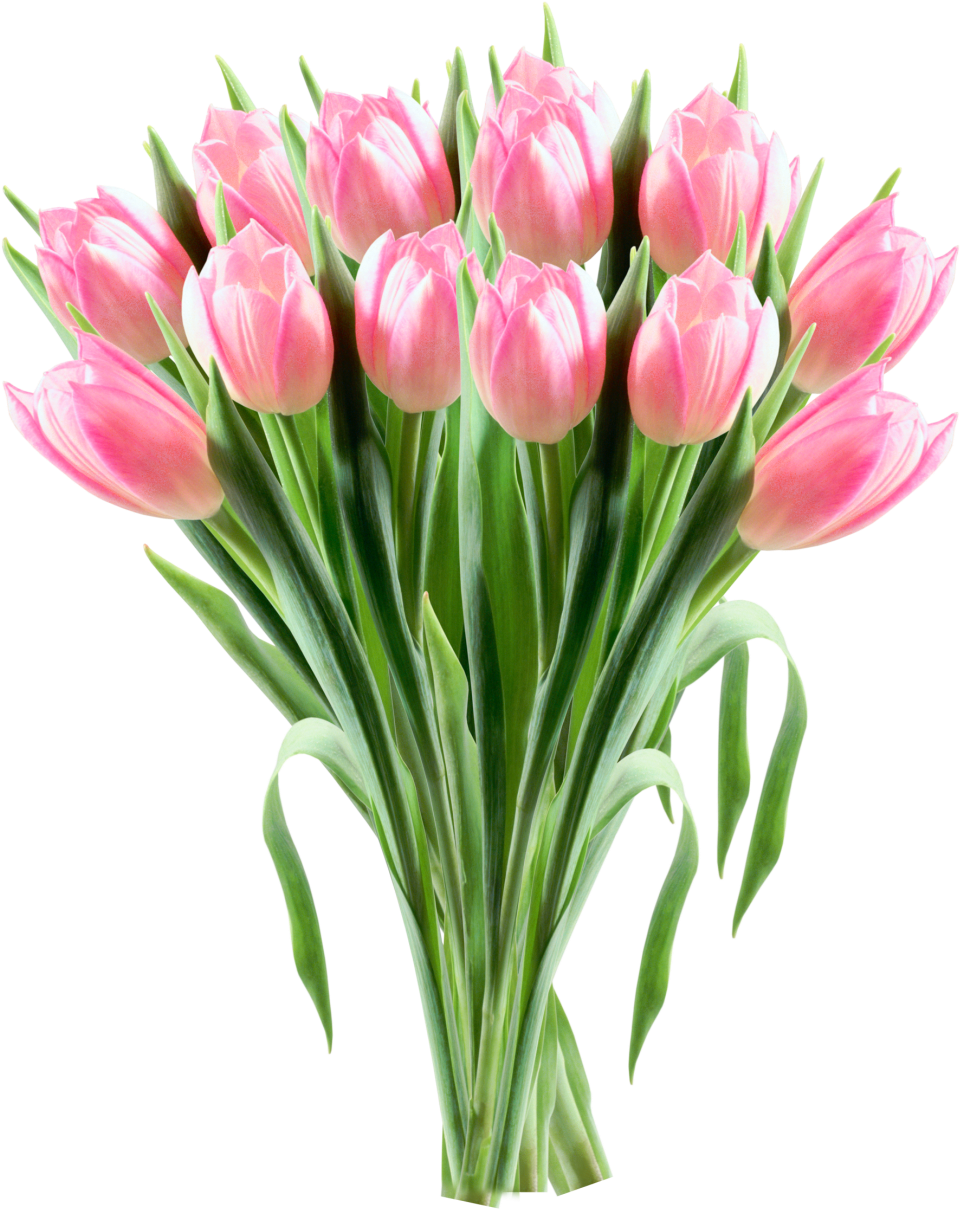A Bouquet Of Pink Tulips