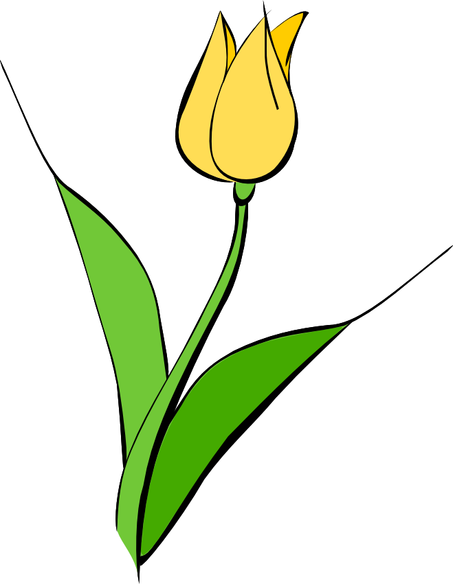 A Yellow Flower With Green Leaves