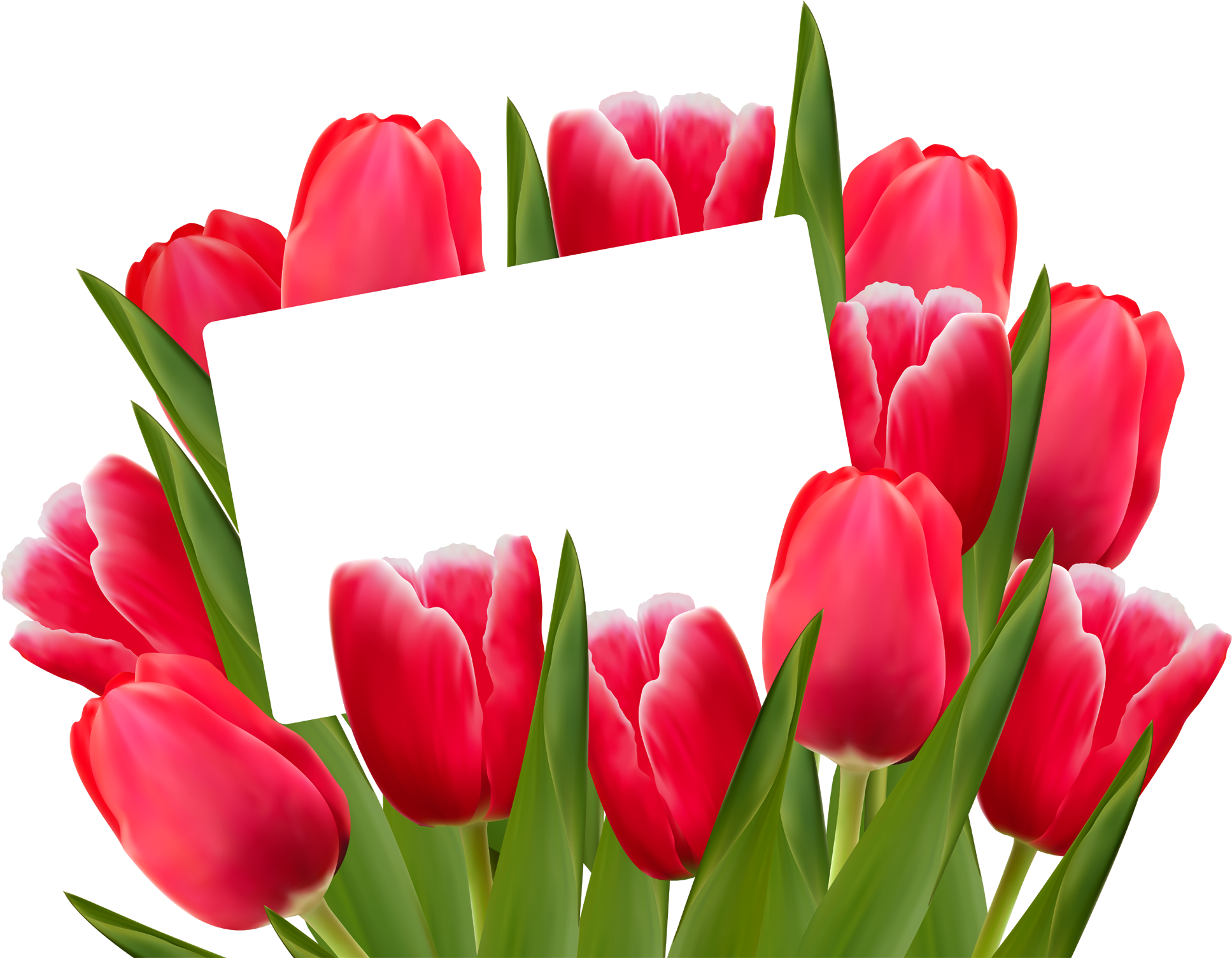 A Bunch Of Red Tulips With A White Card