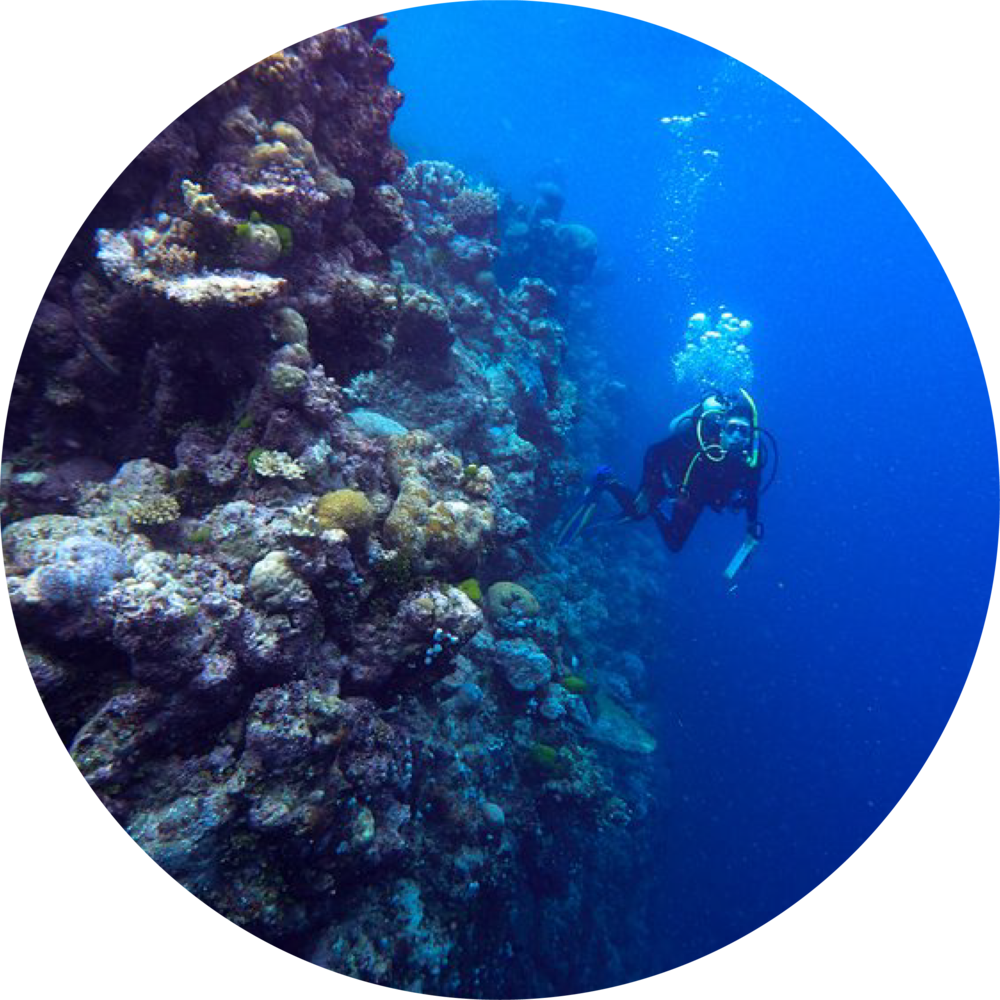 Underwater Png 1000 X 1000