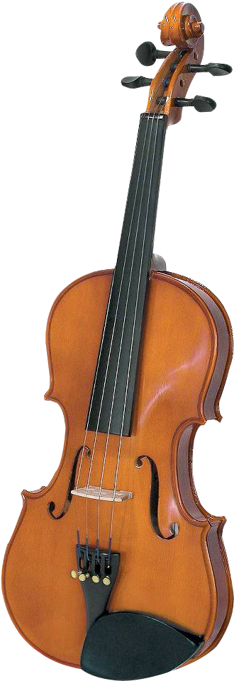 A Close Up Of A Violin