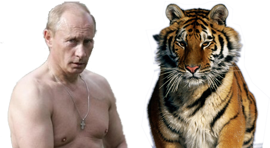 A Man With No Shirt And A Tiger