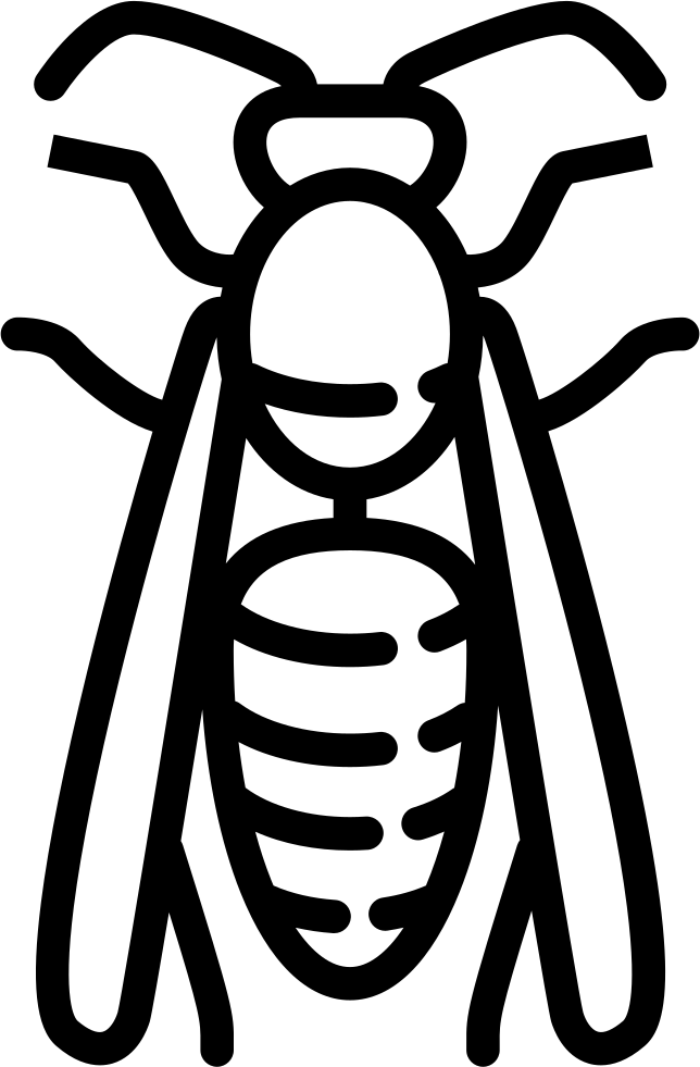 A Black And White Drawing Of A Bug
