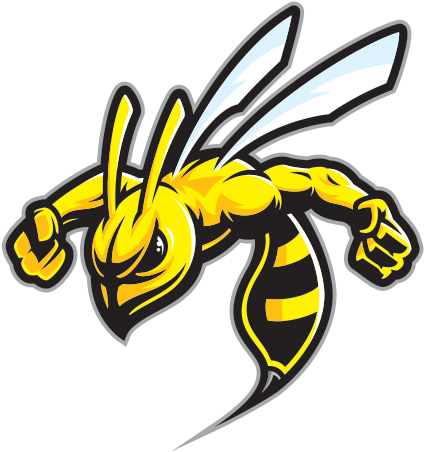 A Yellow And Black Bee Mascot