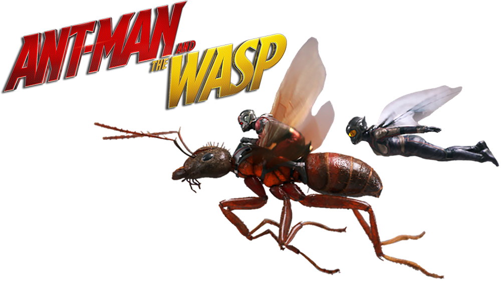 A Man Riding A Ant