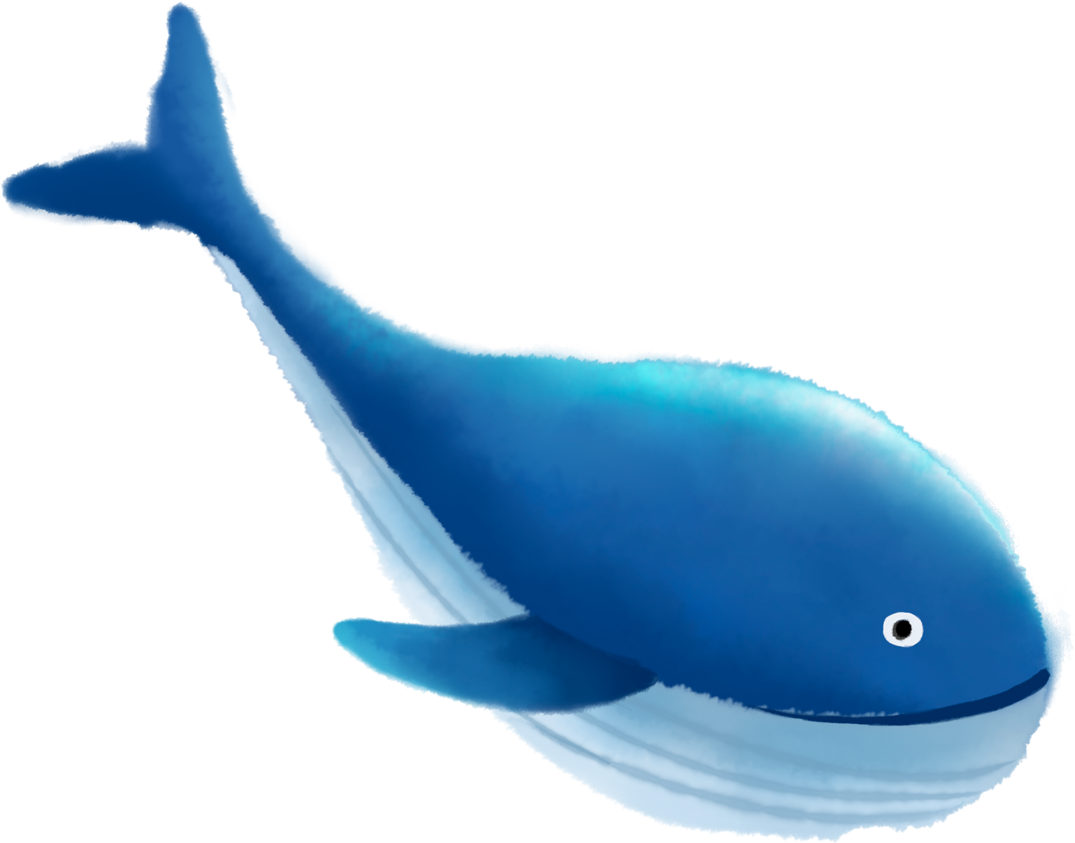 A Blue Whale With White Hair