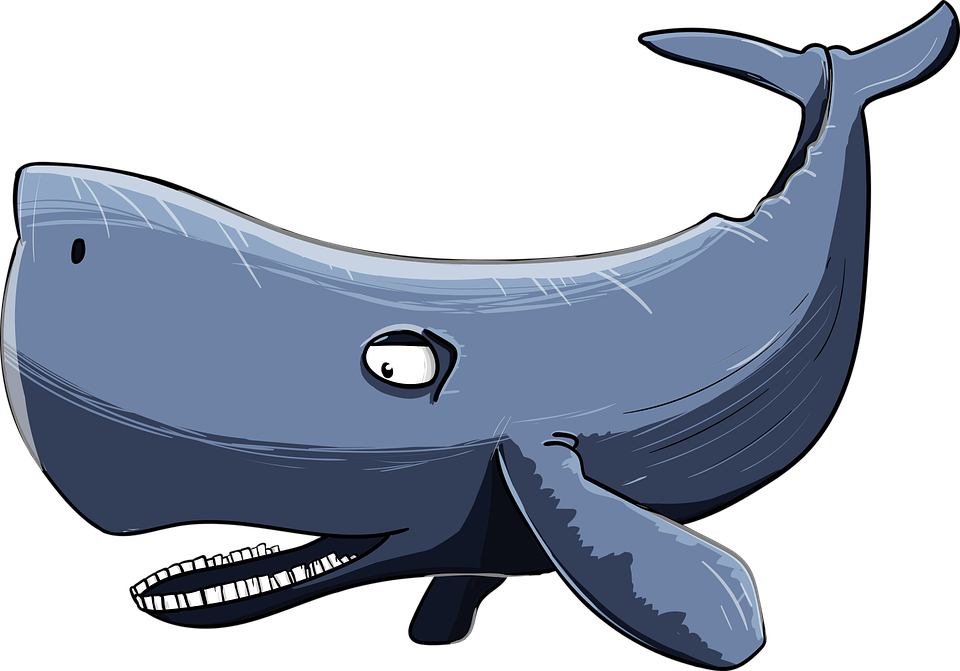 A Cartoon Of A Whale