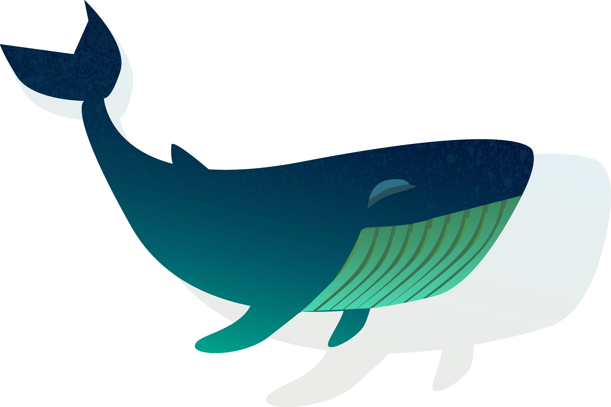 A Blue Whale With A Black Background