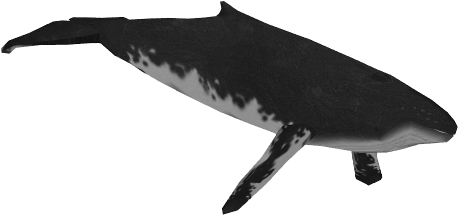 A Whale Shaped Object With Tail