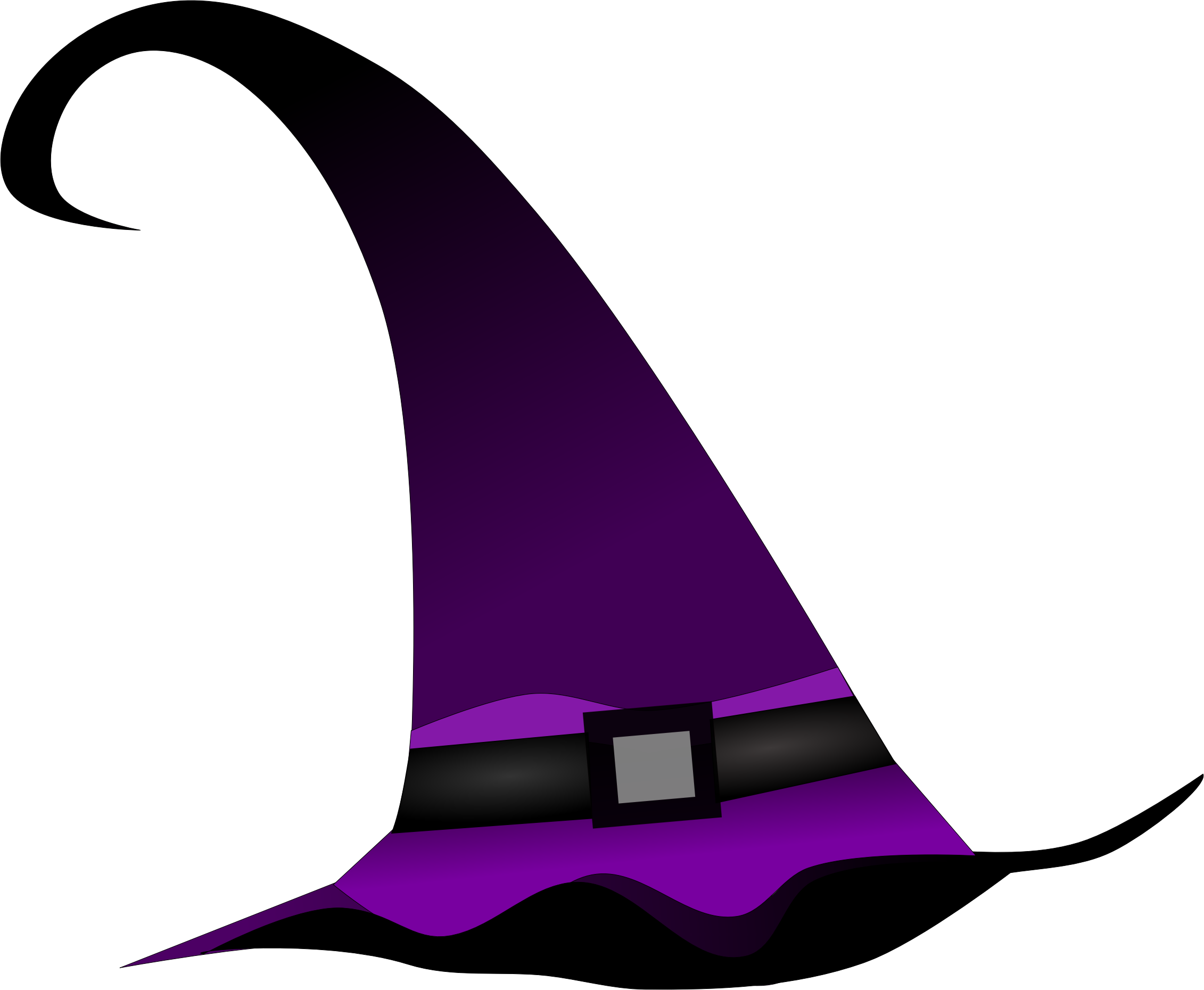 A Purple And Black Hat